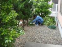 植栽