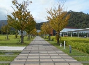 出雲古代歴史博物館