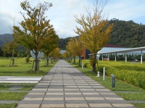 島根県立古代出雲歴史博物館