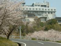 山陽ハイツまでの道のりは桜がキレイ！