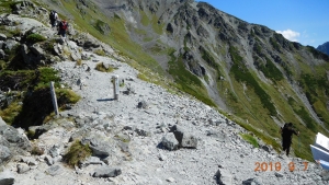 登山中