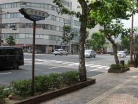 市役所通り（歩行者天国になります）
